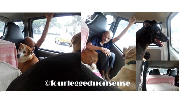 journey_fourleggednonsense