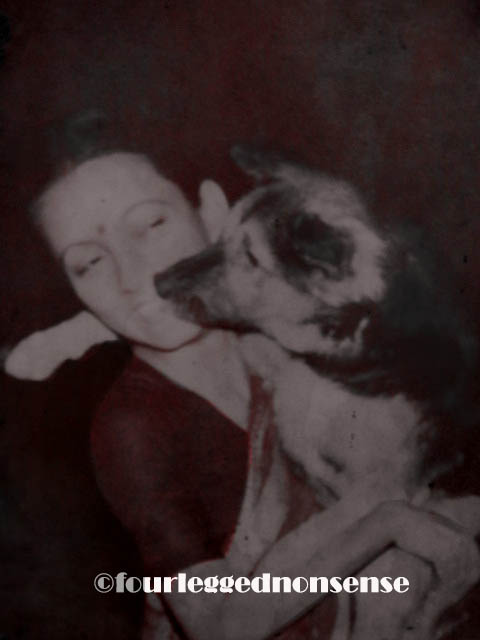 fourleggednonense_MaBingo