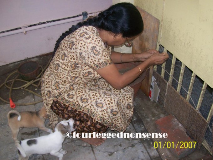 fourleggednonsense_Ma