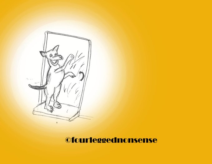 fourleggednonsense_Marmaduke2