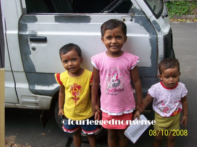 fourleggednonsense_OmniMadhu