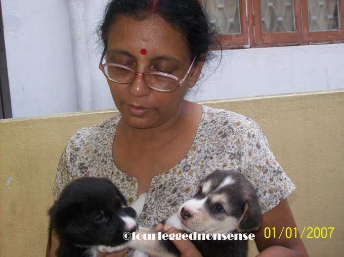 fourleggednonsense_WallyMasterMa