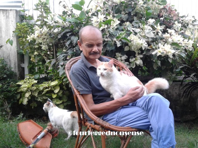 fourleggednonsense_whodunit1a