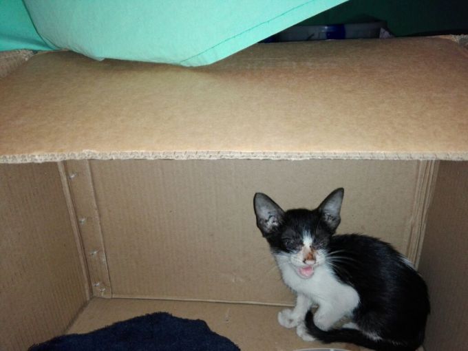 WhatsApp Image 2017-07-10 at 12.59.13