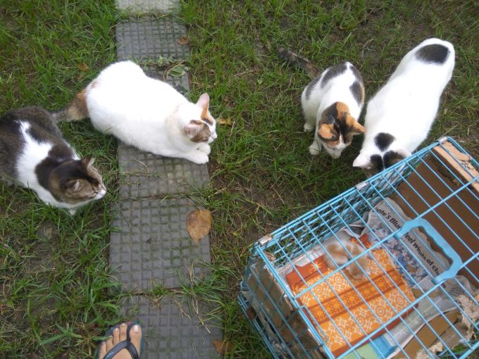 WhatsApp Image 2017-09-29 at 12.42.01