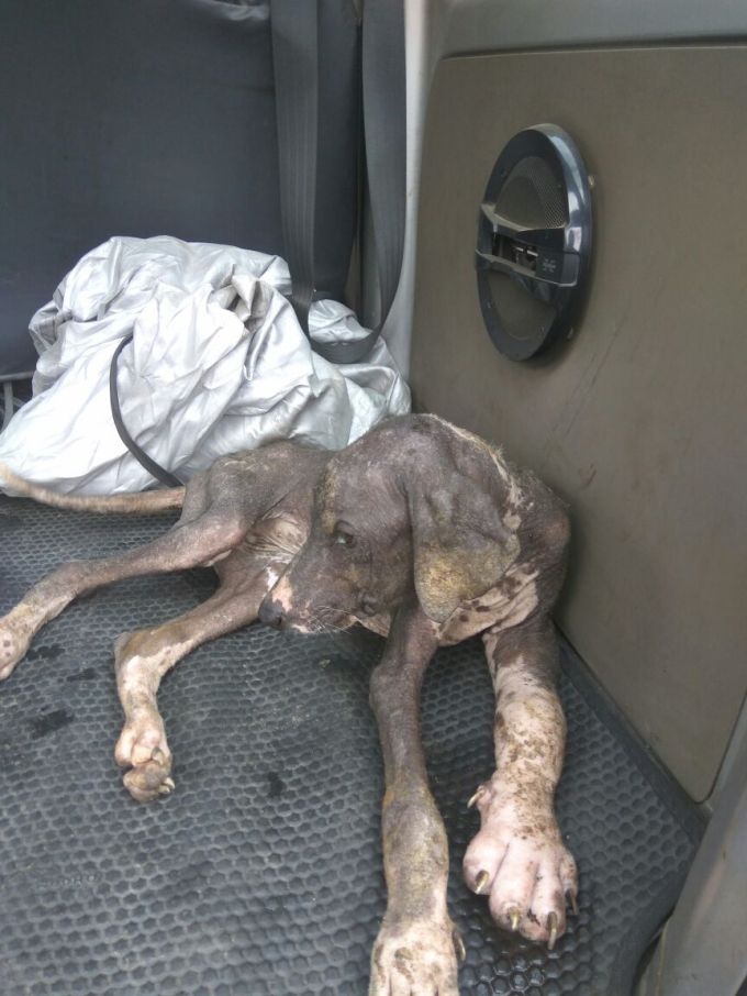 WhatsApp Image 2017-10-24 at 22.21.10