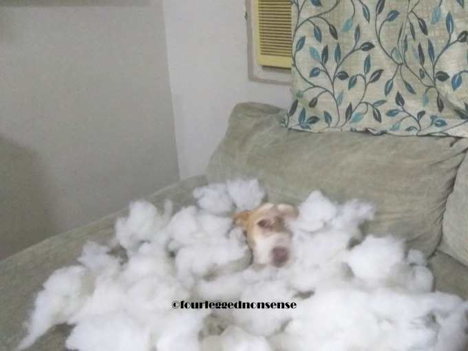 FourleggednonsenseMaggie Sofa 3