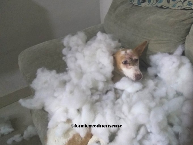 FourleggednonsenseMaggie Sofa1