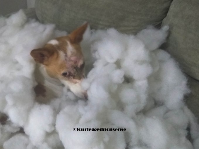 fourleggednonsenseMaggie Sofa2