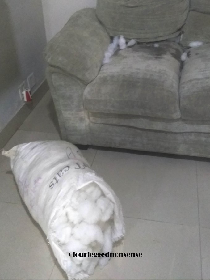 fourleggednonsenseMaggie Sofa4